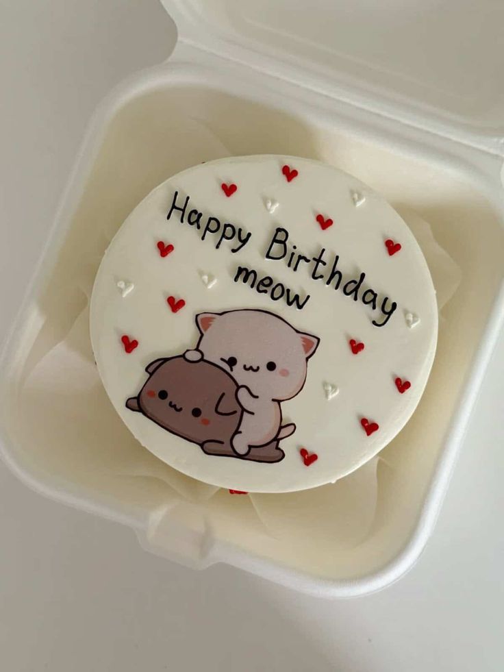 Cute Cat Theme Birthday Bento Cake – Mini Heart Design