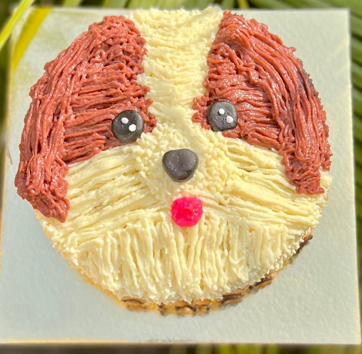 Cute Puppy Face Cake